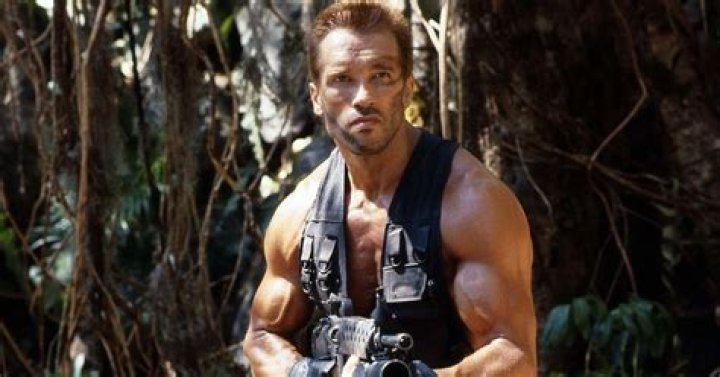 The Evolution of Action Heroes: From Schwarzenegger to Modern Icons on PrimeWire.mx