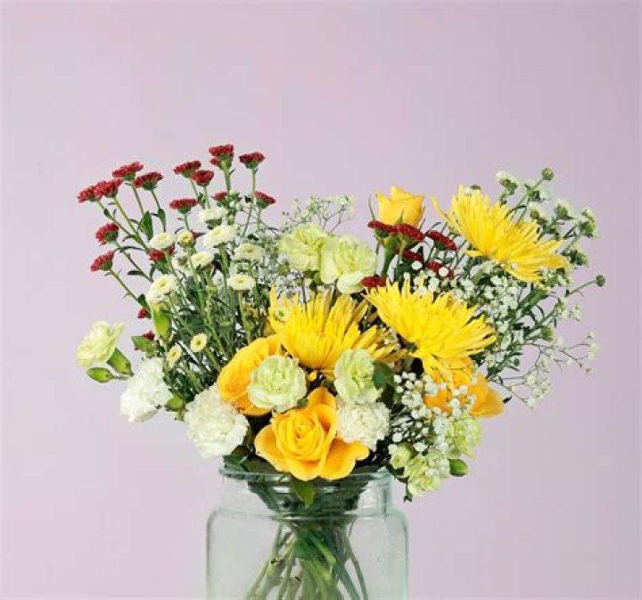 Ultimate Guide to Hanabee: Your Premier Anime Streaming Destination